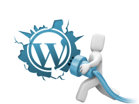 Plugin WordPress